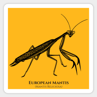 European Mantis design with Common and Scientific Names Sticker